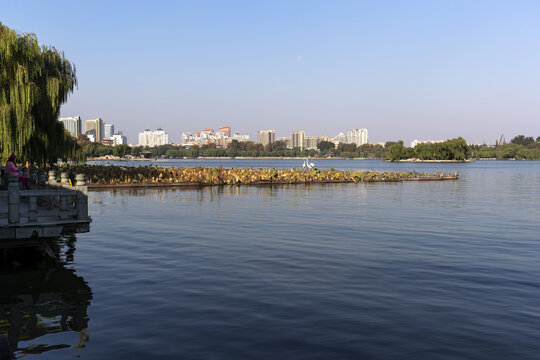 大明湖风光图片