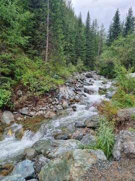 山间小溪与小溪