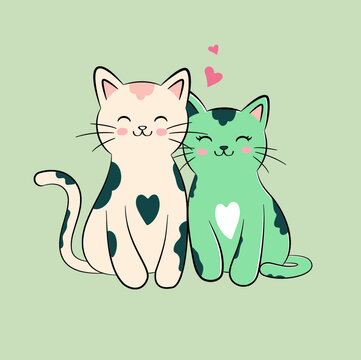 两只可爱的猫