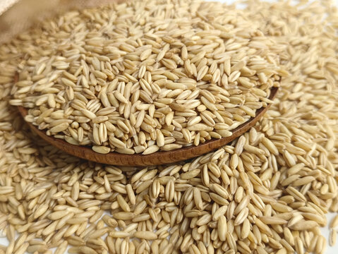 粗粮荞麦