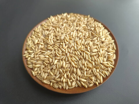 粮食素材荞麦
