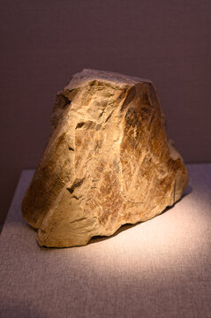 硅质泥质岩标本