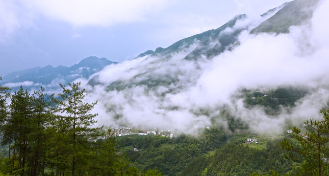 大巴山高山云雾