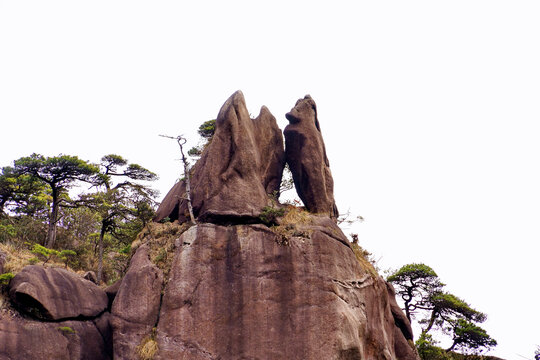 三清山狐狸啃鸡景点