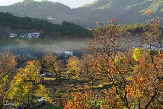 大别山风光