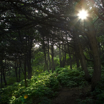 秦皇岛祖山