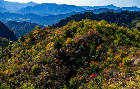 秋天的山野