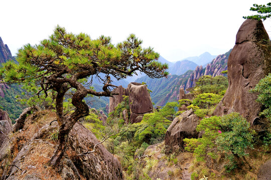 三清山风光