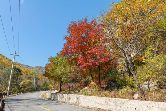 喇叭沟原始森林公园