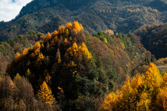 神农架秋天风景