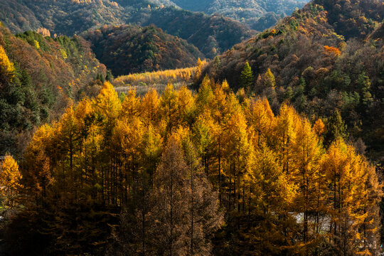 神农架秋天风景