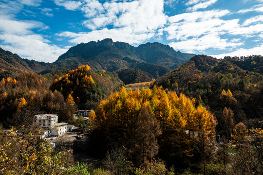 神农架秋天风景