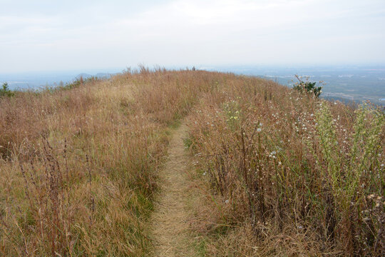 山野田园秋色