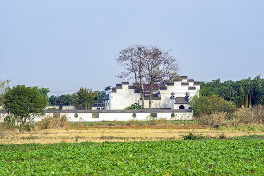 高淳九龙禅寺