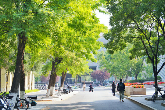 北京大学校园