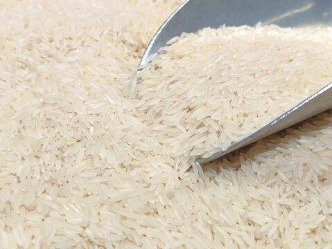 长粒米稻米