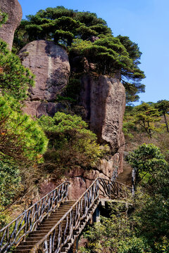 三清山绝壁栈道