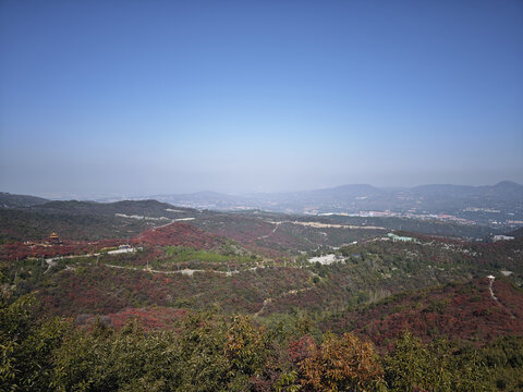 长寿山红叶