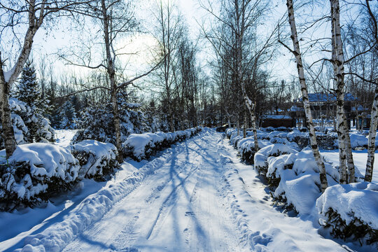 北国风光冰雪世界自然唯美雪景