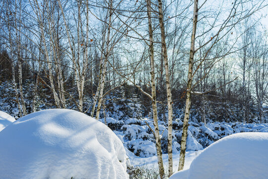 北国风光冰雪世界自然唯美雪景