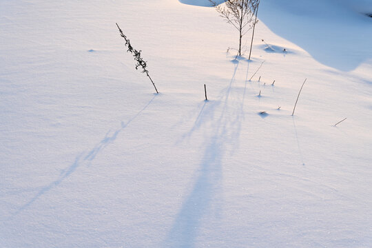 北国风光冰雪世界草丛积雪