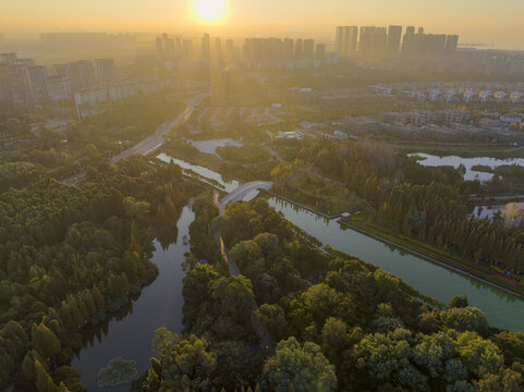 滇池湿地