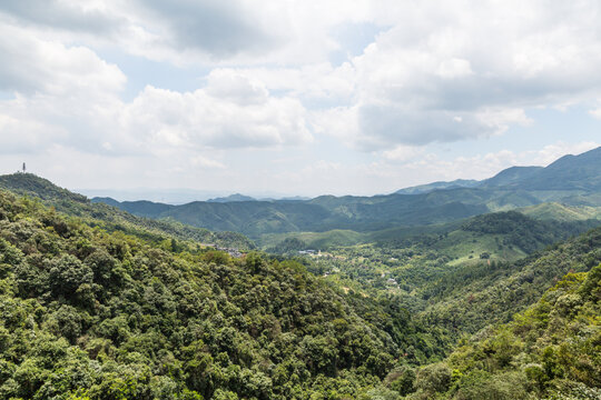 青山