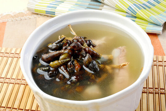 广式炖汤