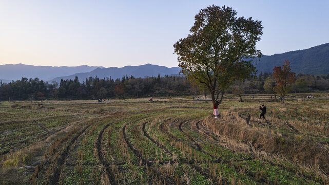 塔川秋色