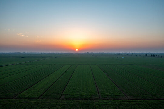 江汉平原夕阳