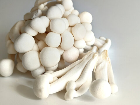 新鲜白蘑菇