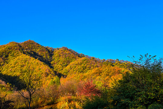 山林秋色