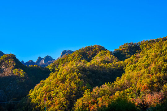 老君山秋景