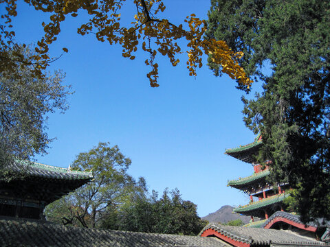 嵩山少林寺