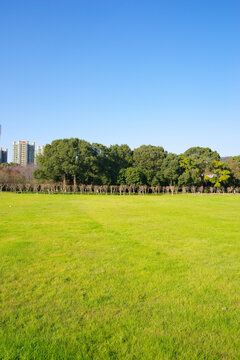 城市草坪