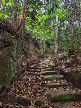 阴森山路