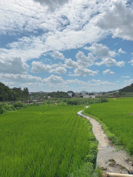 田园风光