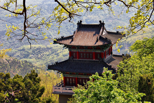 花果山楼阁