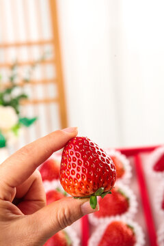 手拿着的草莓