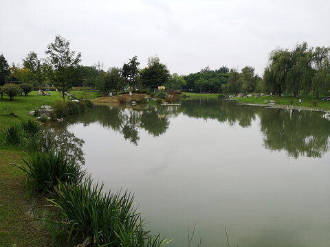 公园水景