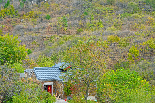 秋景石佛寺