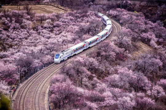 北京S2号线花海