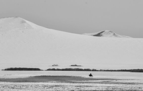 雪原