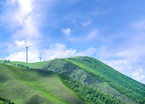 大青山高山牧场