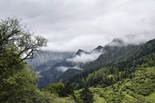 川西高山草甸