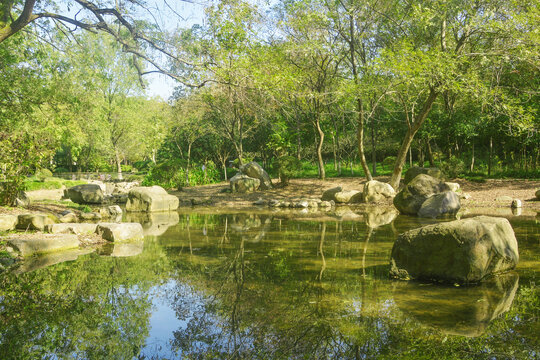 森系拍照场景