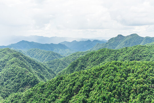 山景