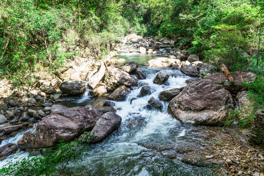 小溪流水