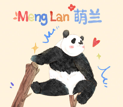 大熊猫萌兰卡通插画