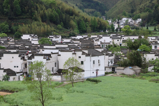 安徽卢村景区